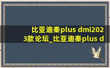 比亚迪秦plus dmi2023款论坛_比亚迪秦plus dmi2023款油箱多大